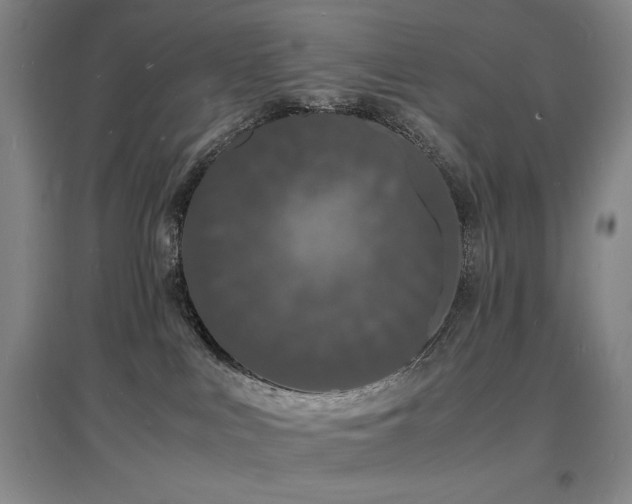 X0000097620043200802291336