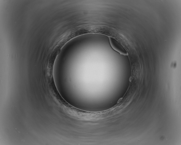 X0000097620044200802291336
