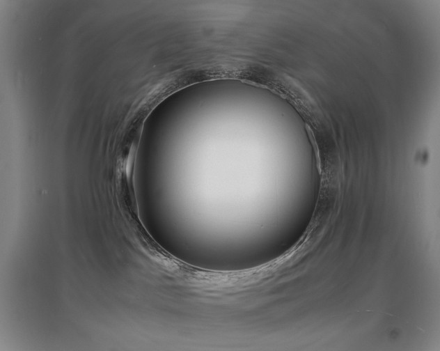 X0000097620045200802291336