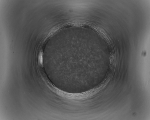 X0000097620046200802291336