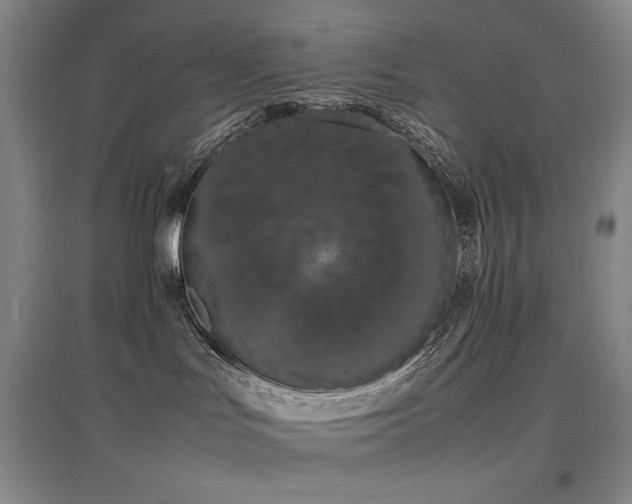 X0000097620047200802291336