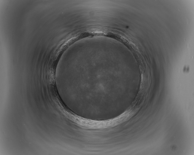 X0000097620048200802291336