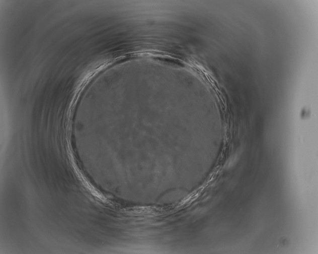 X0000097620049200802291335