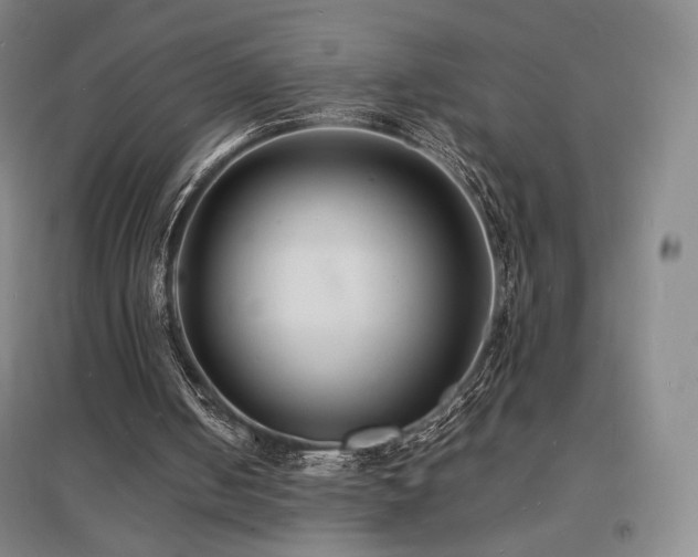 X0000097620050200802291335