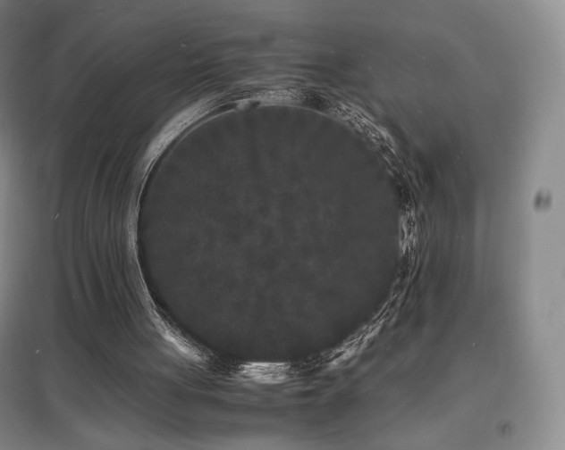 X0000097620051200802291335