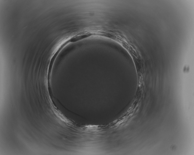 X0000097620052200802291335
