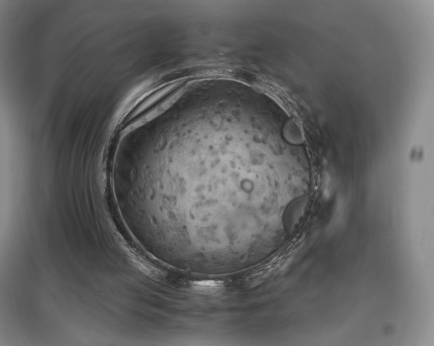 X0000097620053200802291335