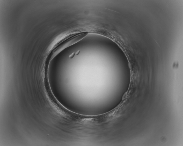 X0000097620054200802291335