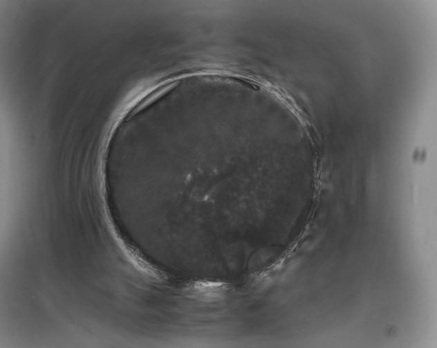 X0000097620055200802291335