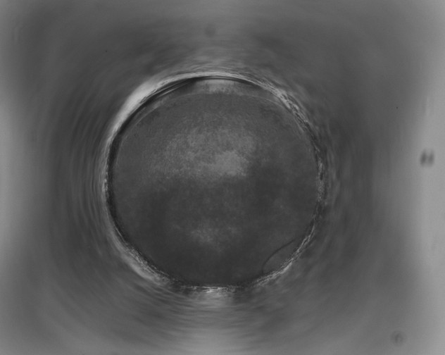 X0000097620056200802291335