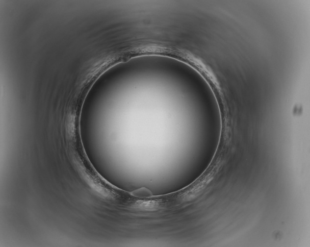 X0000097620057200802291335