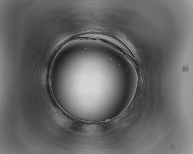 X0000097620058200802291335