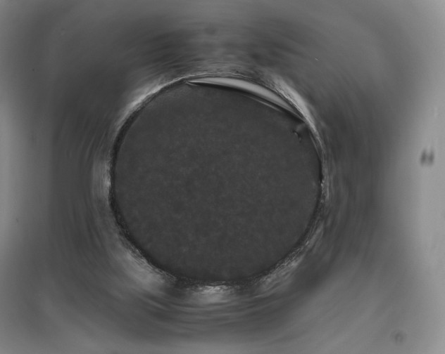 X0000097620059200802291335