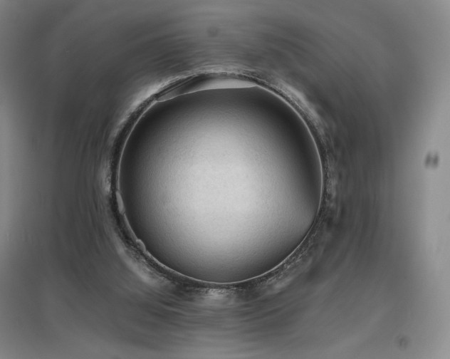 X0000097620060200802291335