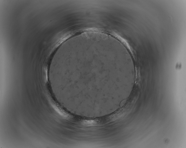 X0000097620061200802291335