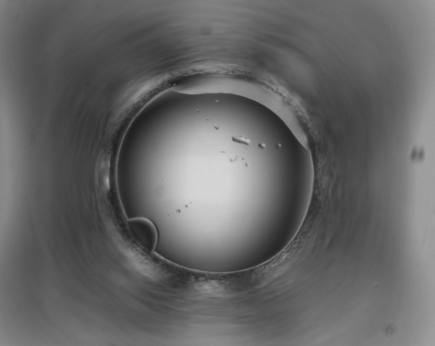 X0000097620062200802291335