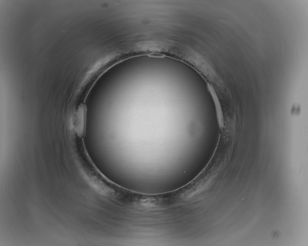 X0000097620064200802291335