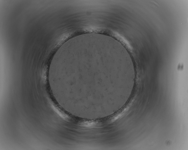 X0000097620065200802291335