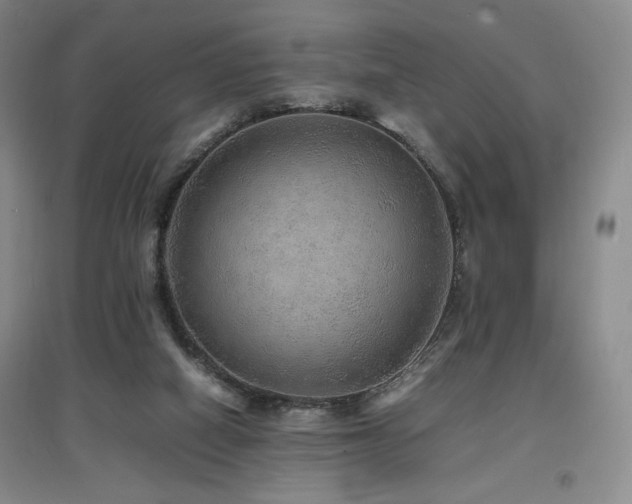 X0000097620066200802291335