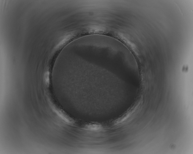 X0000097620067200802291335