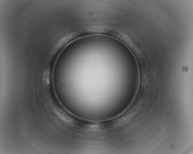 X0000097620068200802291335