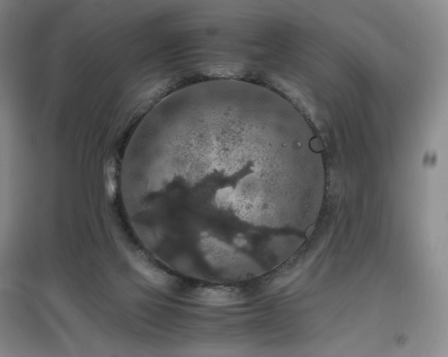 X0000097620069200802291336