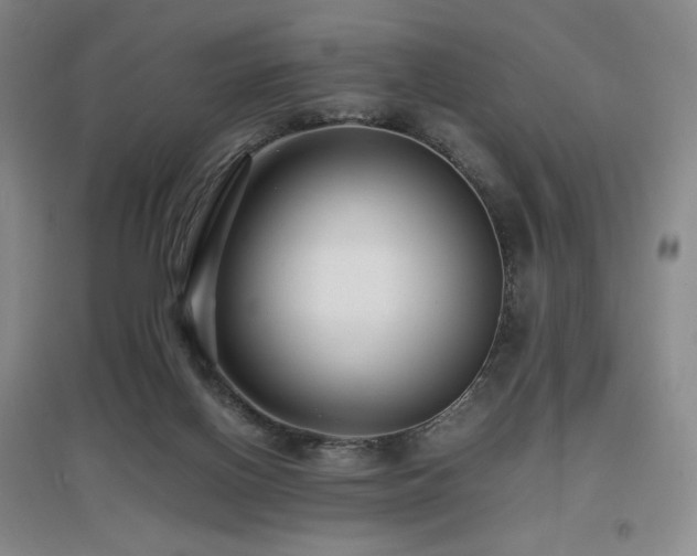 X0000097620070200802291336