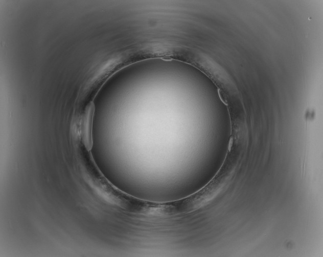 X0000097620072200802291336