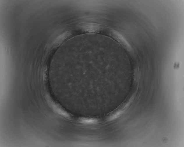 X0000097620073200802291336
