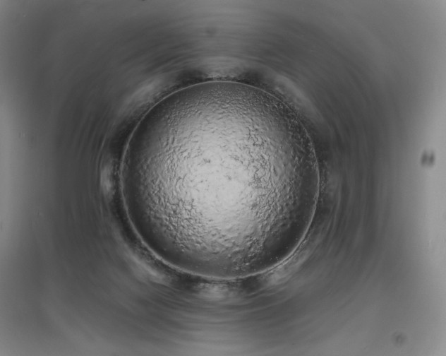 X0000097620074200802291336