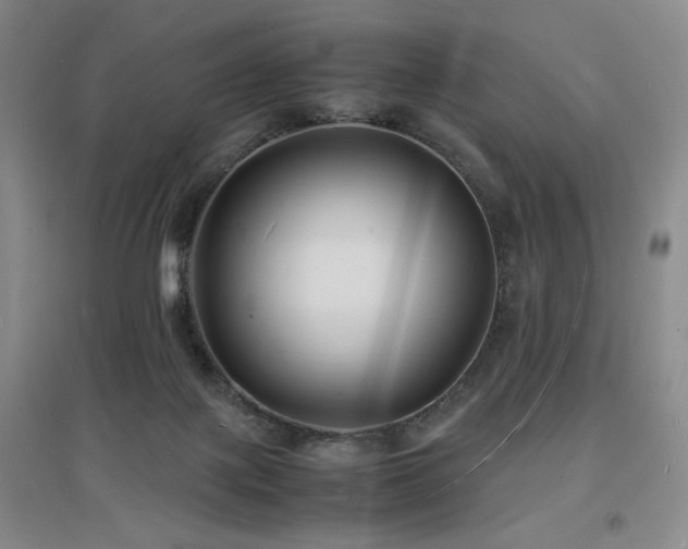 X0000097620075200802291336
