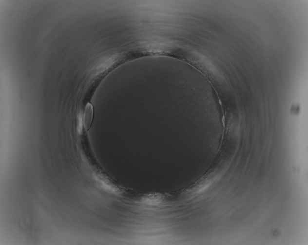 X0000097620076200802291336