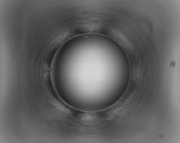 X0000097620077200802291336