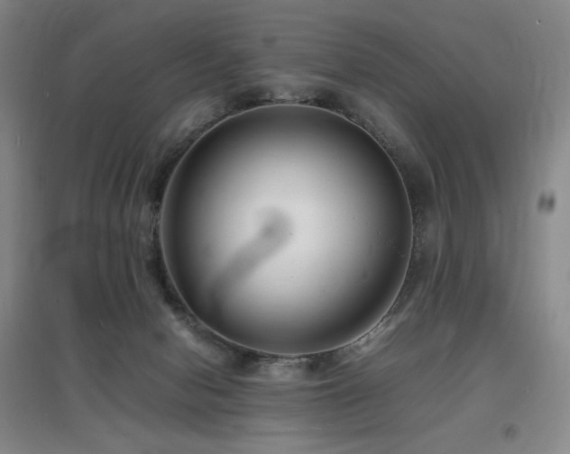X0000097620078200802291336