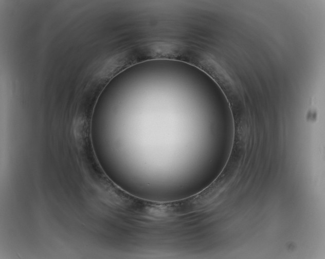 X0000097620079200802291336
