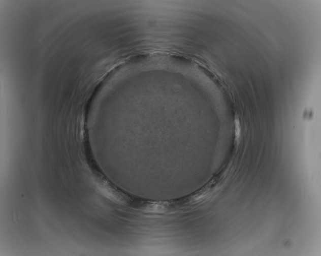 X0000097620080200802291336