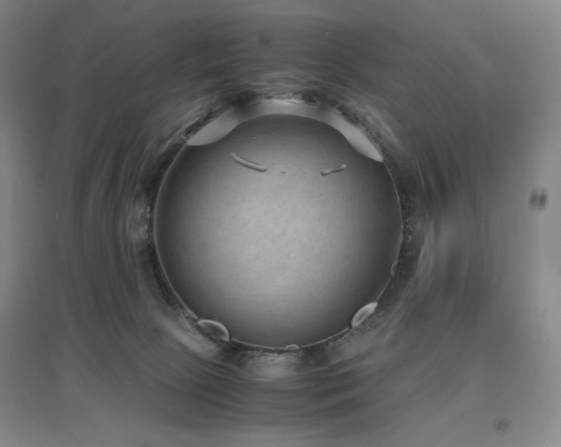 X0000097620081200802291336