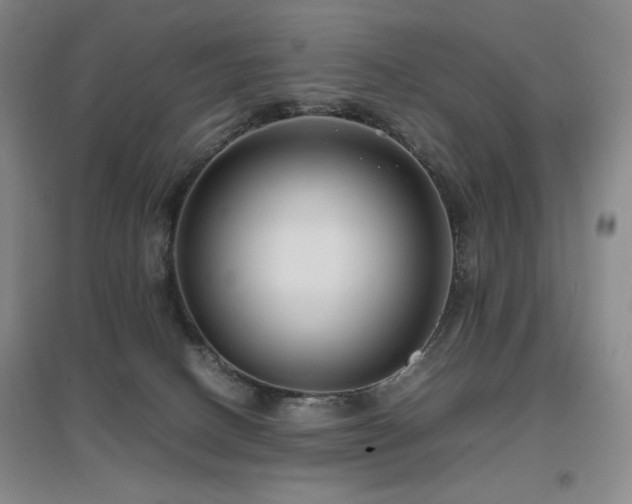 X0000097620082200802291336