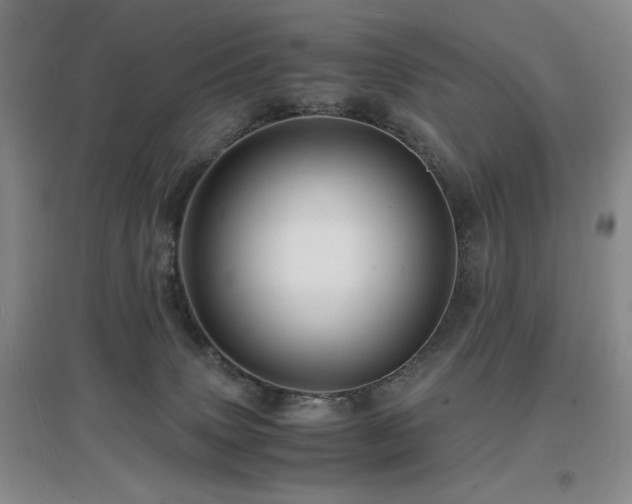 X0000097620083200802291336