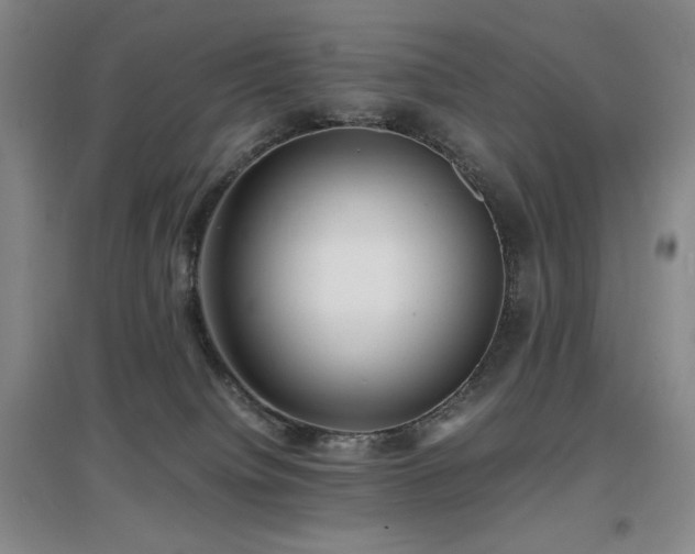 X0000097620084200802291336