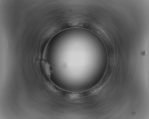 X0000097620085200802291336
