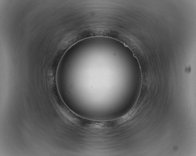 X0000097620086200802291336
