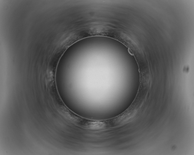 X0000097620087200802291336