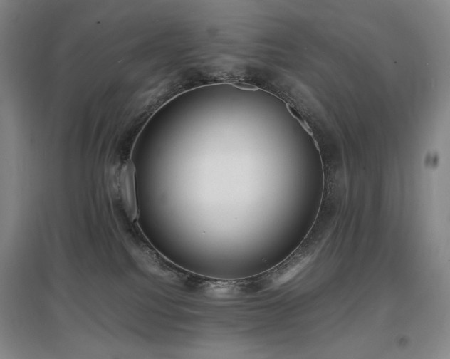 X0000097620088200802291336