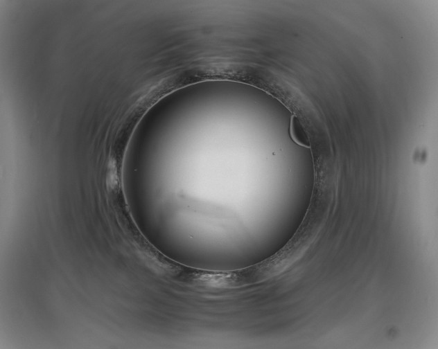 X0000097620089200802291336