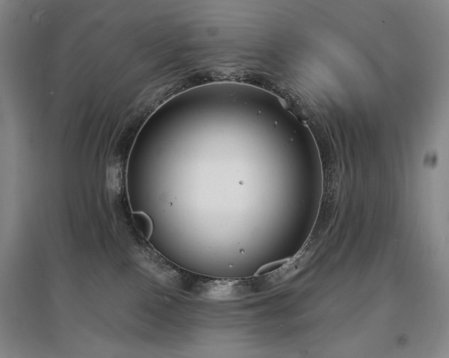 X0000097620090200802291336