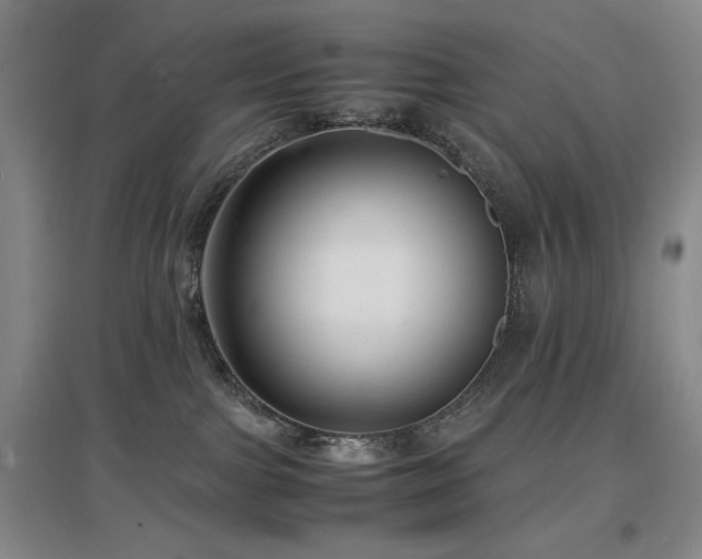 X0000097620091200802291336
