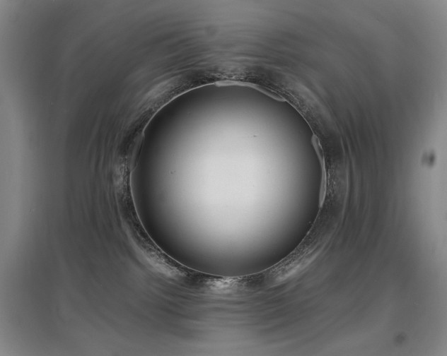 X0000097620092200802291336