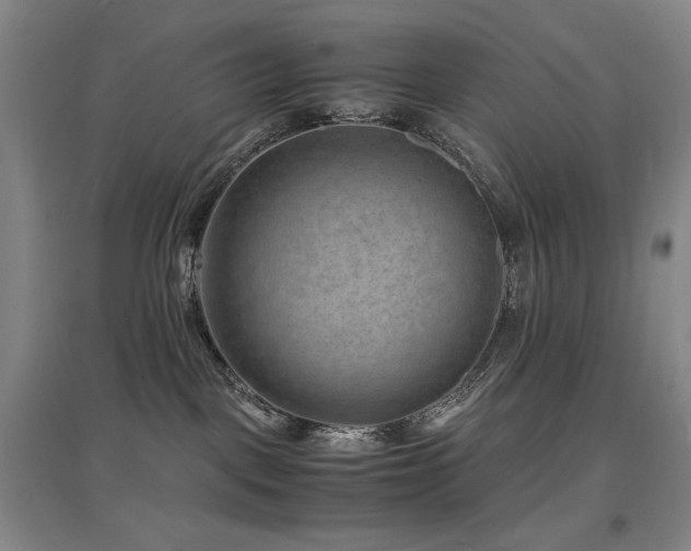 X0000097620093200802291336