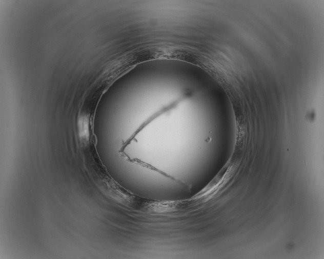 X0000097620094200802291336